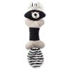 Bone Dry Raccoon Squeaky Bone Pet Toy