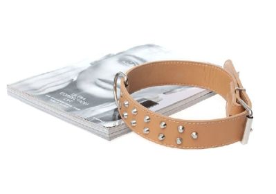Adjustable Leather Punk Collar for Large Pets Dogs(Fit 53~65cm neck) (Variation Theme 5874: SKU)