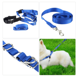 Pet Dog Nylon Adjustable Training Lead Dogs Harness Walking / Running Traction Belt Leash Strap Rope (size: ScOLOR)