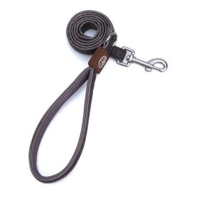 HAMATE 4FT Puppy or Dog Leash,Comfortable hand feeling and Reflective at night, with Nylon Webbing and Shiny Suede Fabric in Galaxy Sky (Color: GreySize)