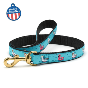 Floaties Dog Collar & Leash (size: 4' narrow)