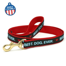 Best Dog Ever Collar & Leash (size: 6' Wide)