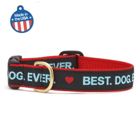 Best Dog Ever Collar & Leash (size: Small Narrow)