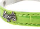 Adjustable Rhinestone Studded Color Collar for Dogs (Size:W1.4cm, L37cm)